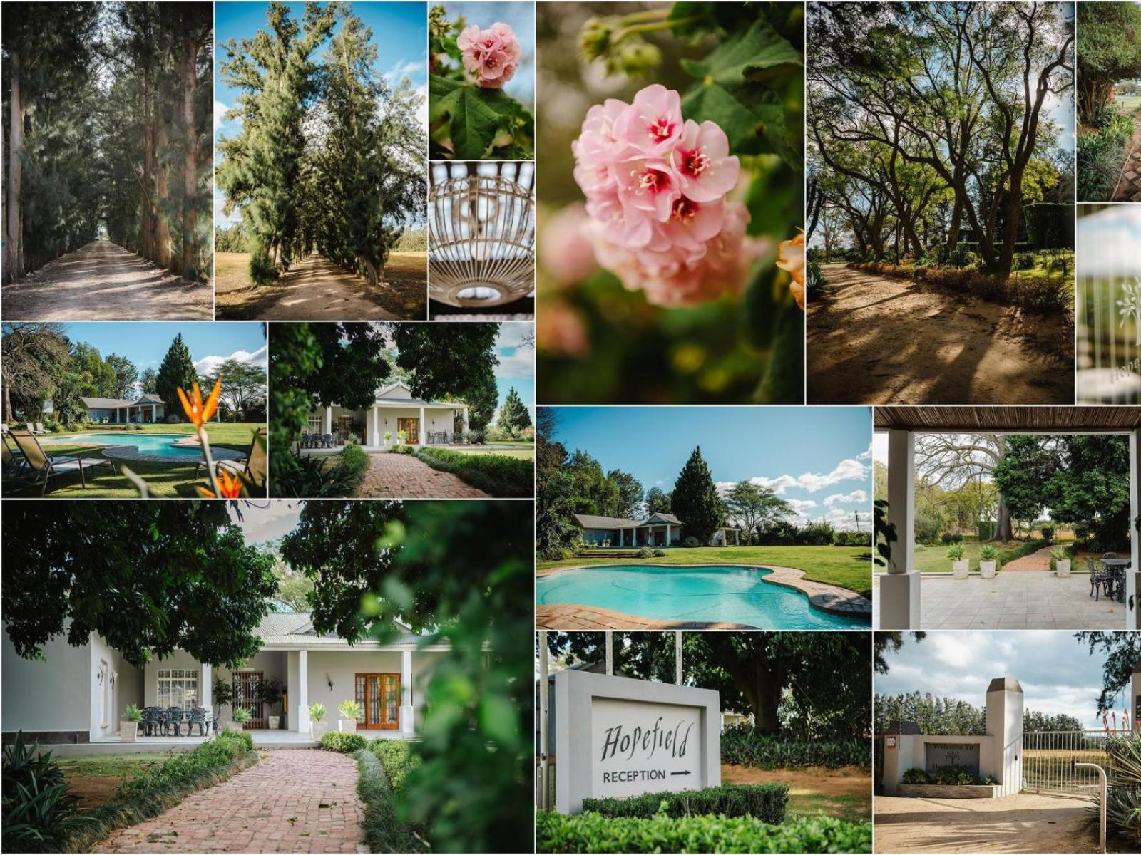 Hopefield Guesthouse-Addo Exteriér fotografie